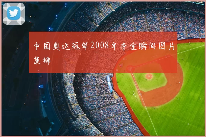 中国奥运冠军2008年夺金瞬间图片集锦