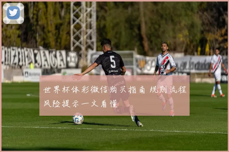 世界杯体彩微信购买指南 规则流程风险提示一文看懂