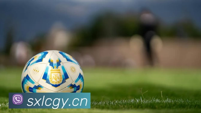 九游会官网网站:畅游游戏世界的最佳选择服务体系